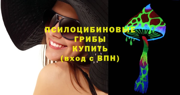 стаф Абинск