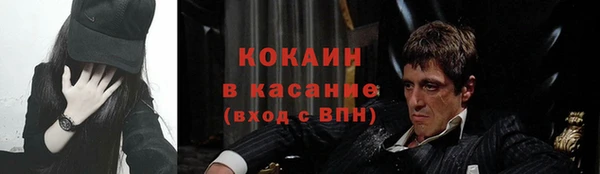 стаф Абинск