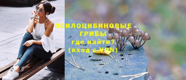 СК Абаза