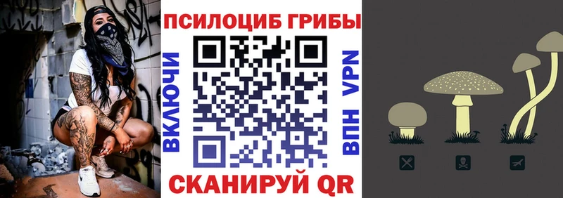 Галлюциногенные грибы мухоморы купить цена Кизляр
